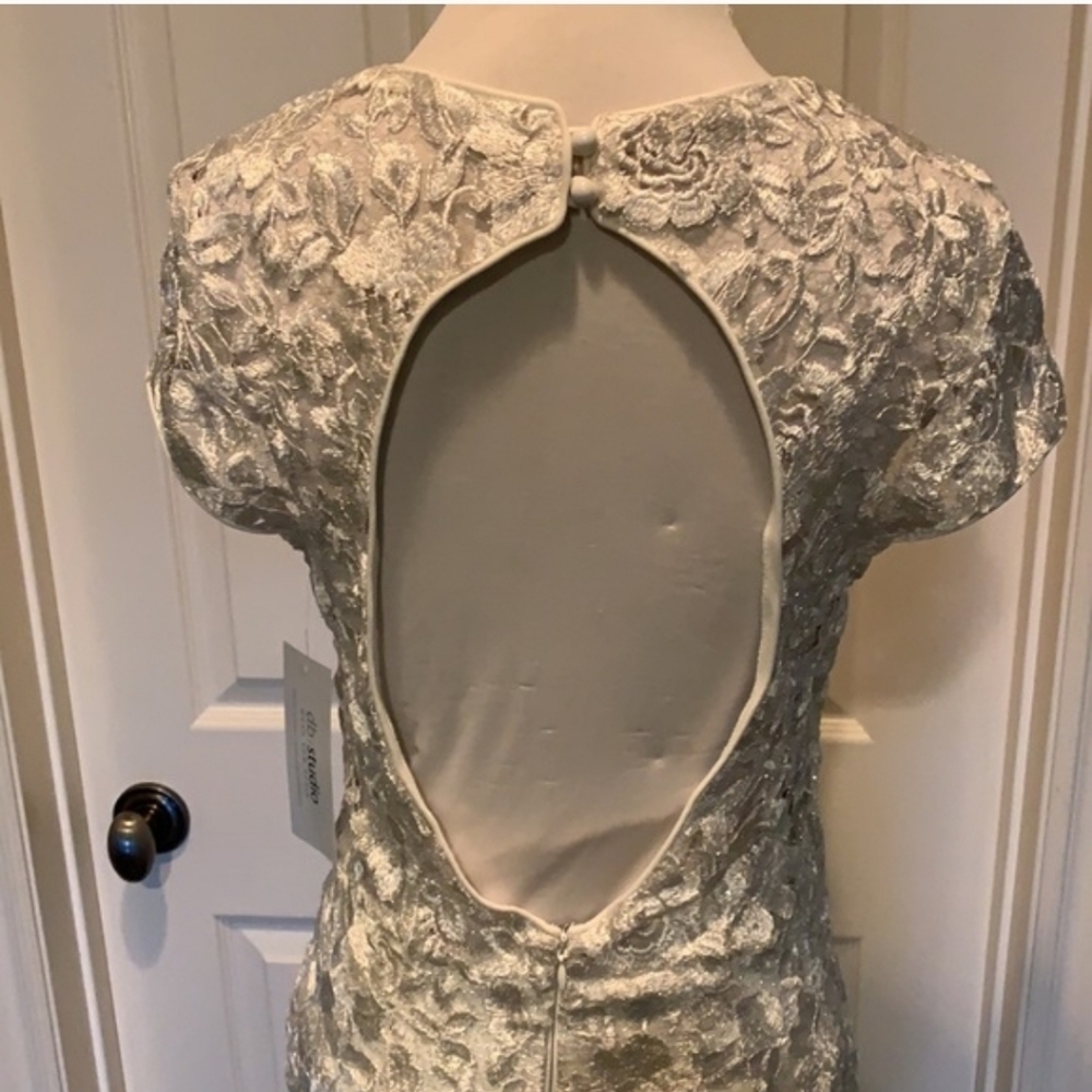 Elegant Lace Gown in Ivory - Picture 7 of 11